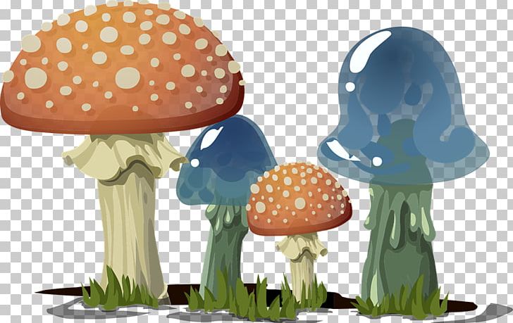 Lingzhi Mushroom Amanita Muscaria Fungus PNG, Clipart, Agaric, Agaricus Campestris, Amanita Muscaria, Birthday, Clip Art Free PNG Download