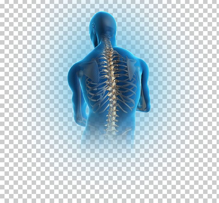 Pain In Spine Spinal Disc Herniation Vertebral Column Human Back Low Back Pain PNG, Clipart, Cervical Vertebrae, Degenerative Disc Disease, Disease, Human Back, Intervertebral Disc Free PNG Download