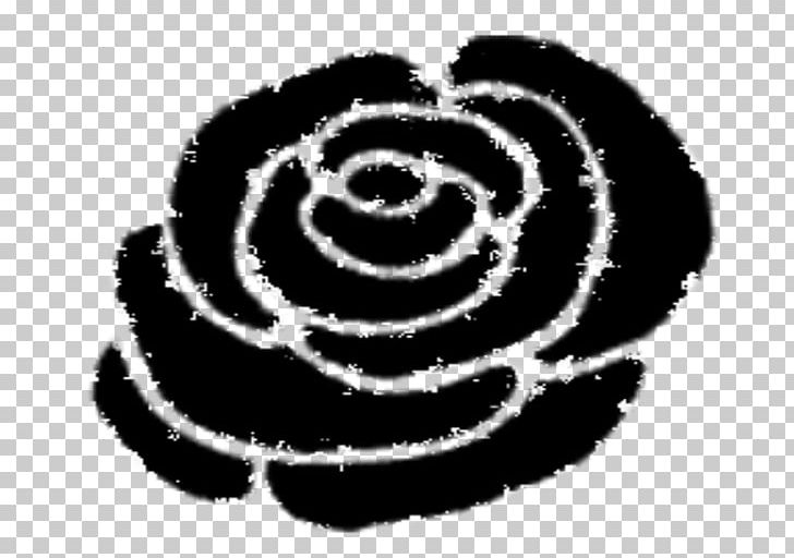 Rose Family PNG, Clipart, Black, Black And White, Circle, Computer Graphics, Computer Icons Free PNG Download