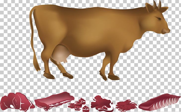 Dairy Cattle Beef PNG, Clipart, Animal, Animals, Beef, Brown, Bull Free PNG Download