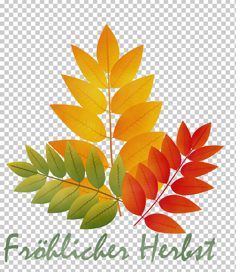 Maple Leaf PNG, Clipart, Autumn, Autumn Leaf Color, Autumn Welcome, Branch, Floral Design Free PNG Download