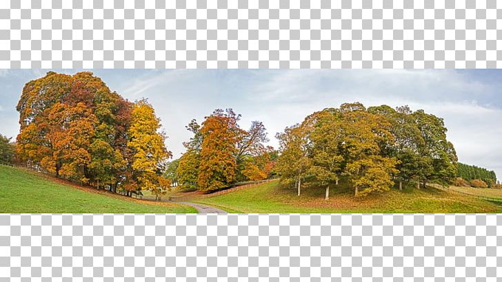 Land Lot Biome Tree Real Property Sky Plc PNG, Clipart, Autumn, Biome, Grass, Land Lot, Landscape Free PNG Download