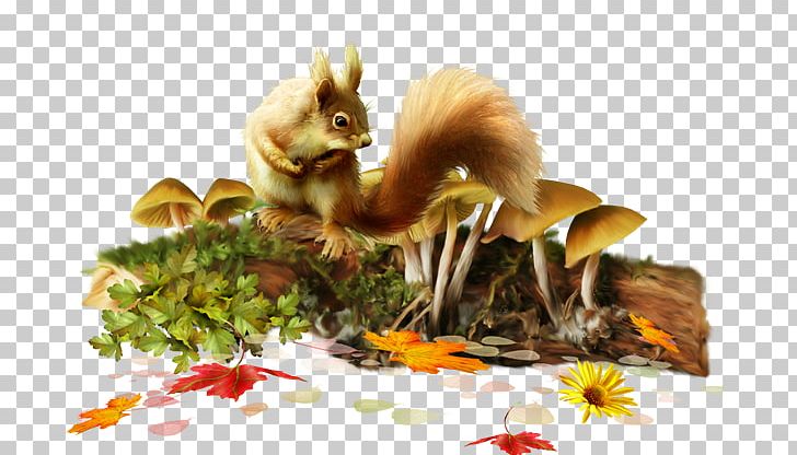 Fauna Cartoon Animal PNG, Clipart, Animal, Cartoon, Computer Icons, Download, Drawing Free PNG Download