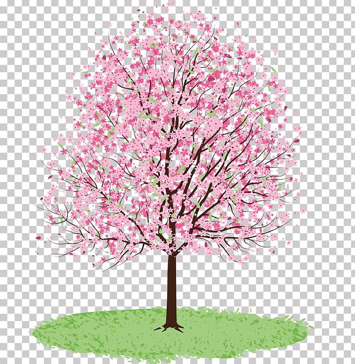 Cherry Blossom Drawing Tree Watercolor Painting PNG, Clipart, Art, Blossom, Branch, Cherry, Cherry Blossom Free PNG Download