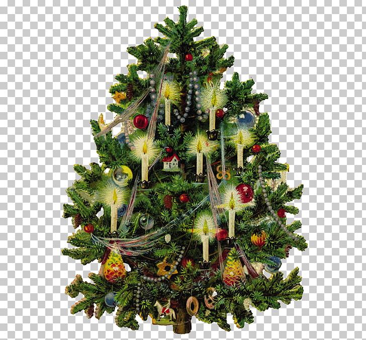 Victorian Era Christmas Tree PNG, Clipart, Christmas, Christmas And Holiday Season, Christmas Decoration, Christmas Ornament, Christmas Tree Free PNG Download