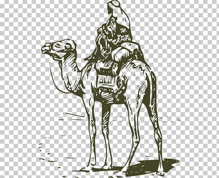Bactrian Camel Dromedary Horse PNG, Clipart, Art, Bactrian Camel, Black And White, Camel, Camel Like Mammal Free PNG Download
