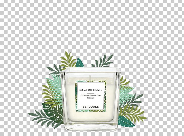 Berdoues Perfume Amazon Rainforest PNG, Clipart, Amazonas, Amazon Rainforest, Art, Being, Berdoues Free PNG Download