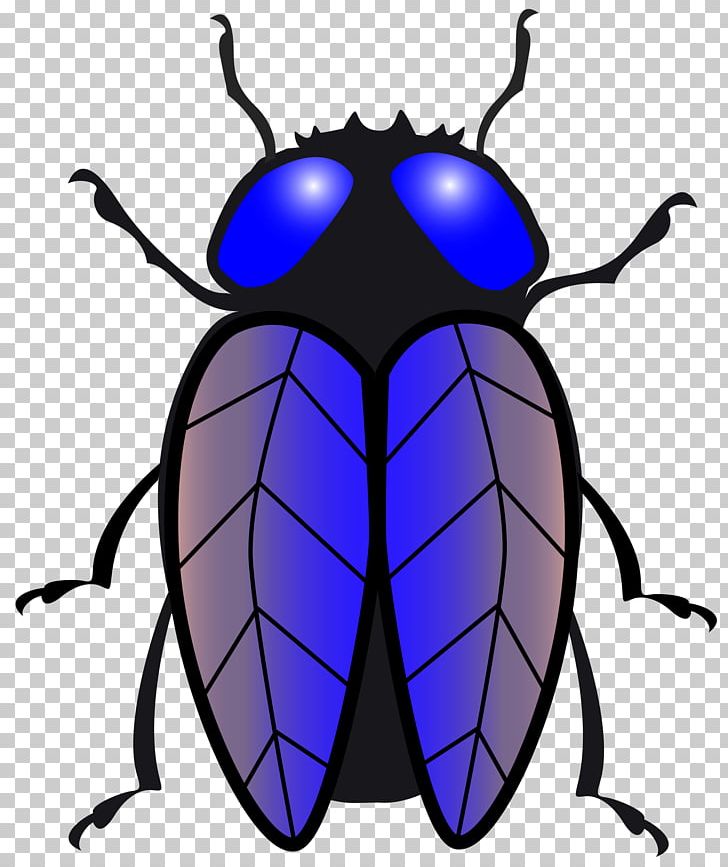 Housefly Insect PNG, Clipart, Arthropod, Artwork, Beetle, Black And White, Cactus Free PNG Download
