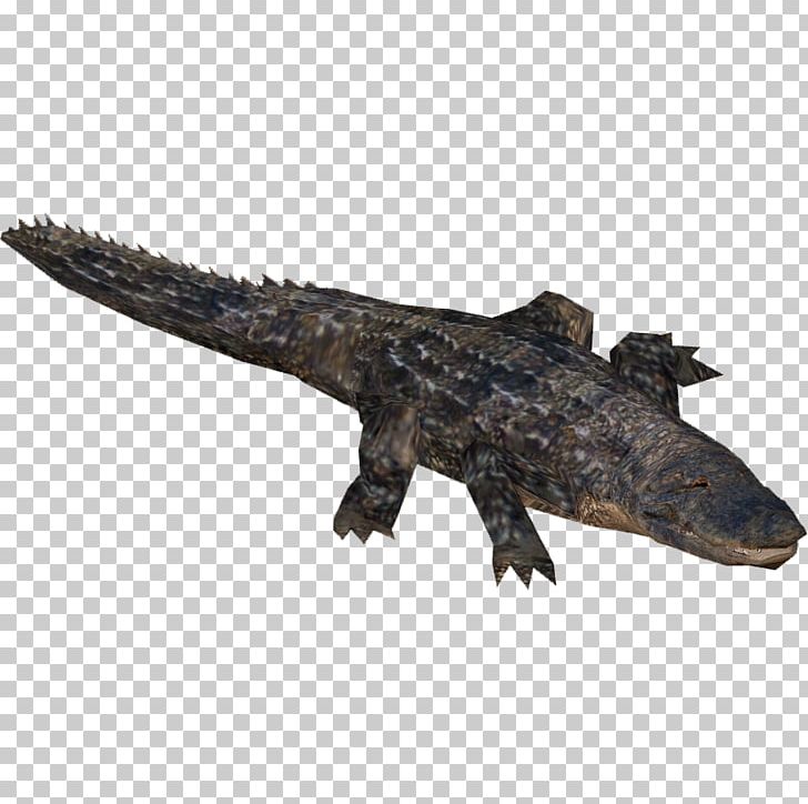 Zoo Tycoon 2 Far Cry 5 American Alligator Nile Crocodile Crocodiles PNG, Clipart, Alligator, American Alligator, American Crocodile, Animals, Crocodile Free PNG Download