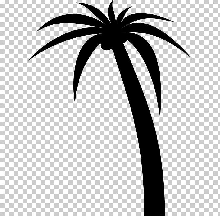 Arecaceae Drawing PNG, Clipart, African, Arecaceae, Arecales, Artwork, Black And White Free PNG Download