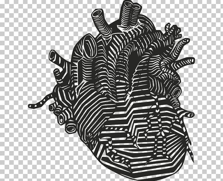 Heart Drawing Anatomy PNG, Clipart, Anatomy, Artery, Black, Black And White, Blood Free PNG Download