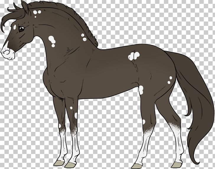 Horse Foal Pony Stallion Colt PNG, Clipart, Animals, Bit, Bridle, Colt, English Riding Free PNG Download