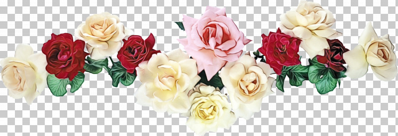 Garden Roses PNG, Clipart, Bouquet, Cut Flowers, Floral Line, Flower, Flower Background Free PNG Download