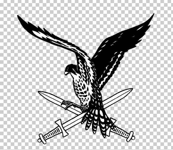 11 Air Manoeuvre Brigade Air Assault Soldier Army PNG, Clipart, Armed Forces Of The Netherlands, Army, Art, Bird, Falcon Free PNG Download
