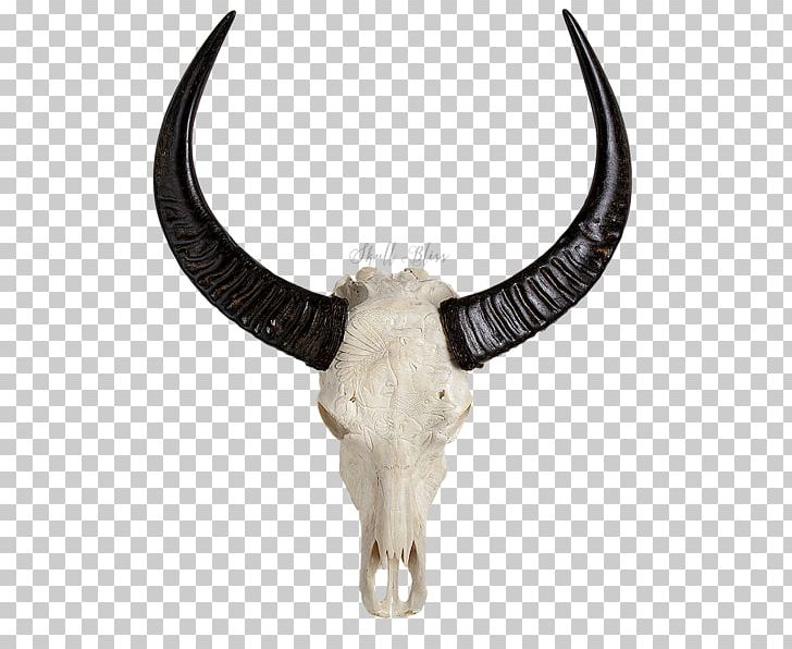 Animal Skulls Cattle Horn Clipart, Animal, Animal Buffalo, Cattle, Cattle Like Mammal Free PNG