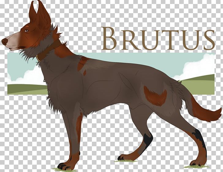 Australian Kelpie Dog Breed Razas Nativas Vulnerables Tail PNG, Clipart, Australian Kelpie, Breed, Brutus, Carnivoran, Dog Free PNG Download