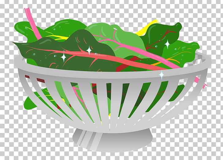 Bean Salad Lettuce Leaf Vegetable PNG, Clipart, Arugula, Bean Salad, Bowl, Carrot, Flowerpot Free PNG Download
