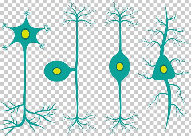Cell Graphic Design PNG, Clipart, Artwork, Biological, Branch, Cartoon, Cell Phone Free PNG Download