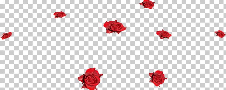 Garden Roses Flower PNG, Clipart, Carnation, Computer Software, Computer Wallpaper, Desktop Wallpaper, Flower Free PNG Download