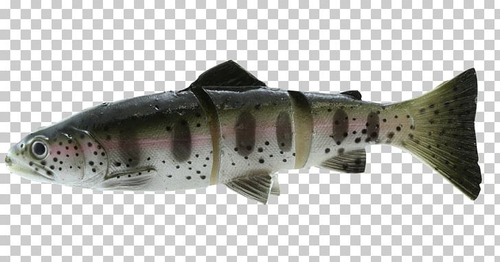 Swimbait Rainbow Trout Fishing Baits & Lures PNG, Clipart, 3d Scanner, Angling, Bony Fish, Cod, Fish Free PNG Download