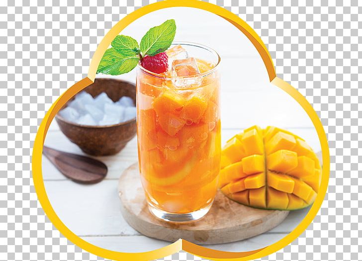 Orange Drink Long Island Iced Tea Harvey Wallbanger Cocktail Garnish PNG, Clipart, Cocktail, Cocktail Garnish, Drink, Food, Food Drinks Free PNG Download