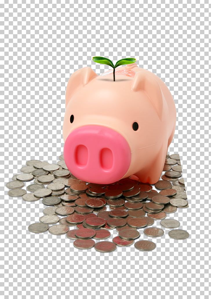 Piggy Bank Finance Money Insurance PNG, Clipart, Asset Management, Bank, Bank Card, Banking, Banknote Free PNG Download