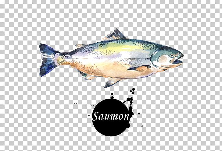 Watercolor Painting Coho Salmon Art PNG, Clipart, Barramundi, Bonito, Bony Fish, Coho, Coho Free PNG Download