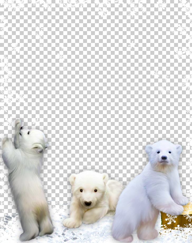 West Highland White Terrier Red Panda Giant Panda Bear Dog Breed PNG, Clipart, Adobe Illustrator, Animals, Bear, Carnivoran, Dog Breed Group Free PNG Download