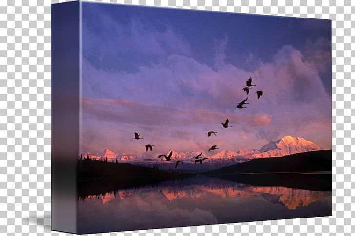 Wonder Lake Denali Crane Poster Frames PNG, Clipart, Alaska, Computer, Computer Wallpaper, Crane, Dawn Free PNG Download