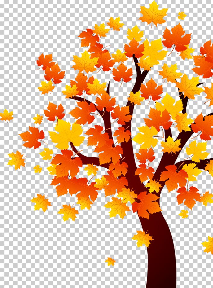 Gold Maple Leaf PNG, Clipart, Autumn, Autumn Leaf Color, Branch, Decorative Patterns, Design Free PNG Download