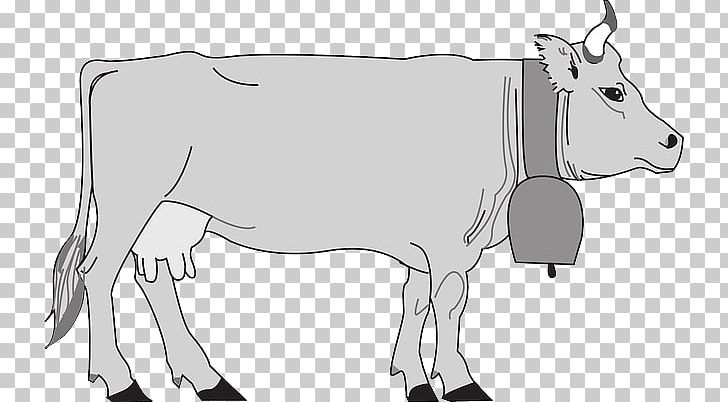 Murray Grey Cattle Hungarian Grey Dairy Cattle PNG, Clipart, Agriculture, Animal Figure, Black And White, Cow Goat Family, Dairy Cattle Free PNG Download