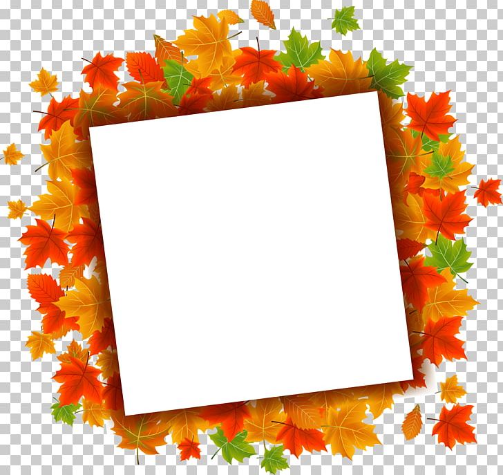 Maple Leaf PNG, Clipart, Autumn Tree, Border Texture, Circle, Computer Icons, Encapsulated Postscript Free PNG Download