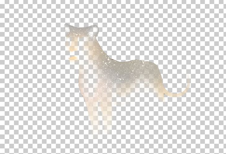 Whiskers Cat Puma Tail Wildlife PNG, Clipart, Animals, Carnivoran, Cat, Cat Like Mammal, Lion Free PNG Download
