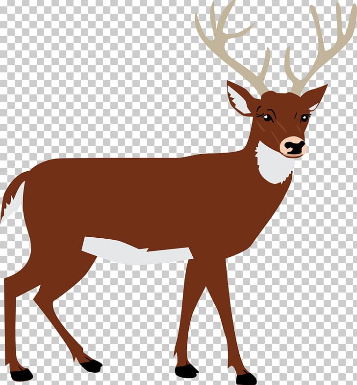 White-tailed Deer Red Deer Moose Reindeer PNG, Clipart, Animals, Antler, Computer Icons, Deer, Elk Free PNG Download