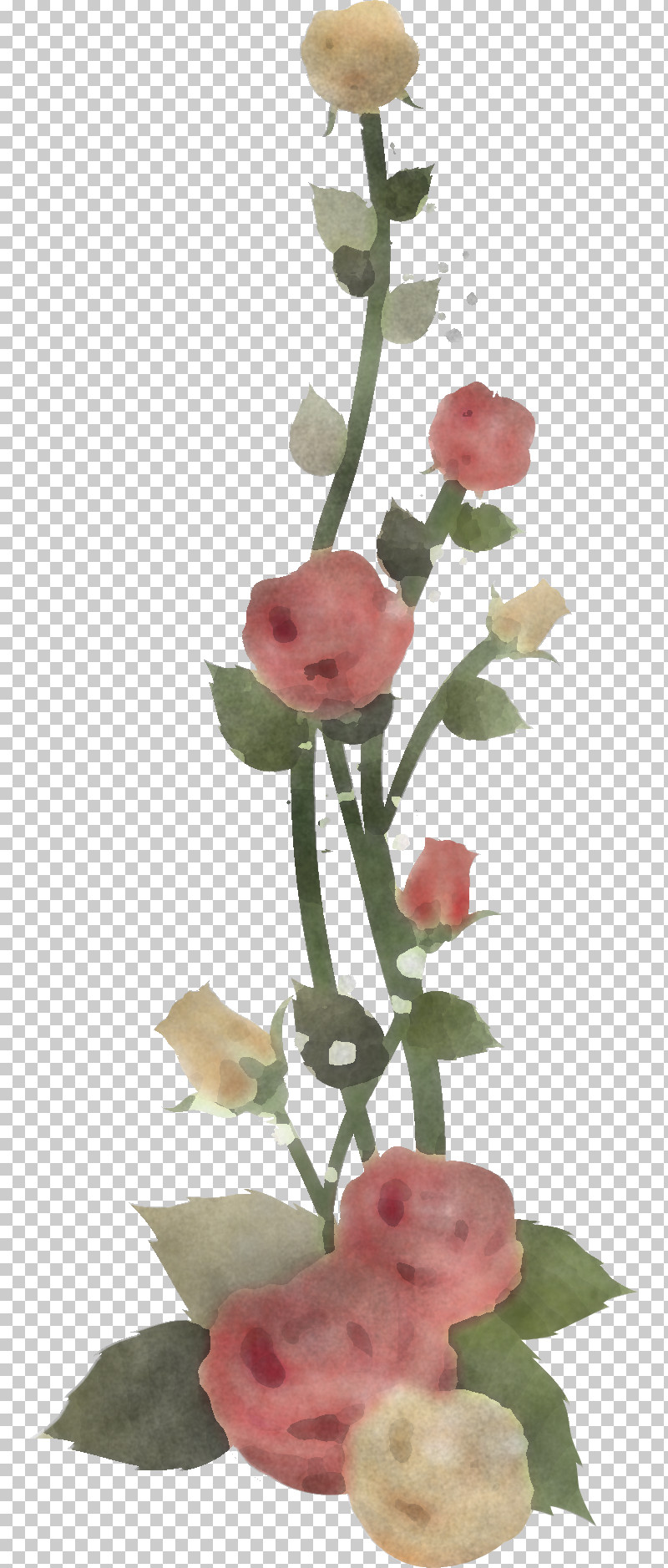 Floral Flowers PNG, Clipart, Bud, Cut Flowers, Floral, Flower, Flowers Free PNG Download