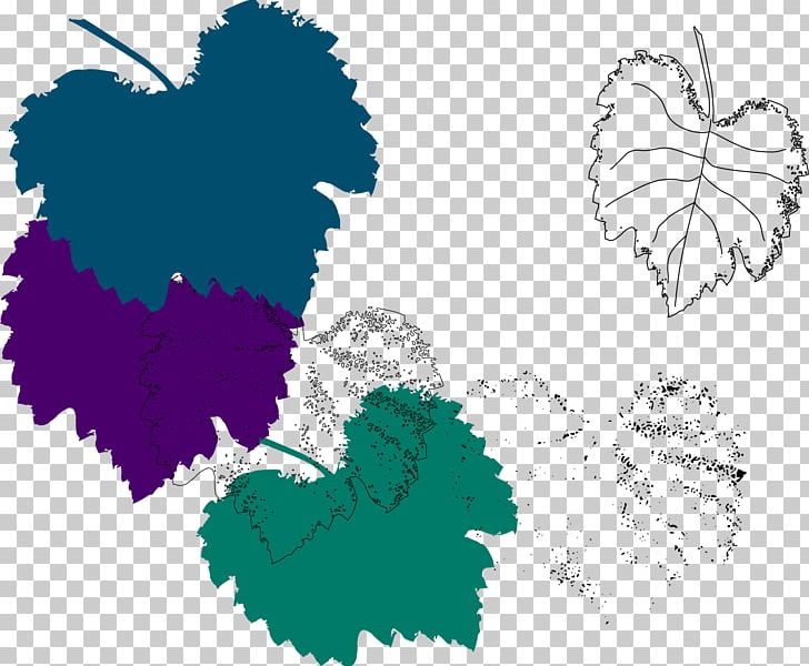 Maple Leaf PNG, Clipart, Background, Border, Border Texture, Botany, Color Free PNG Download