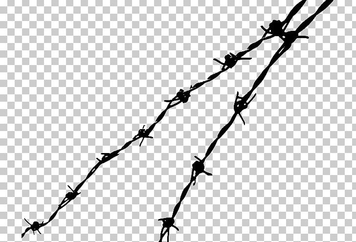 Barbed Wire PNG, Clipart, Barbed Tape, Barbed Wire, Black And White, Branch, Clouds Sky City Silhouette Free PNG Download