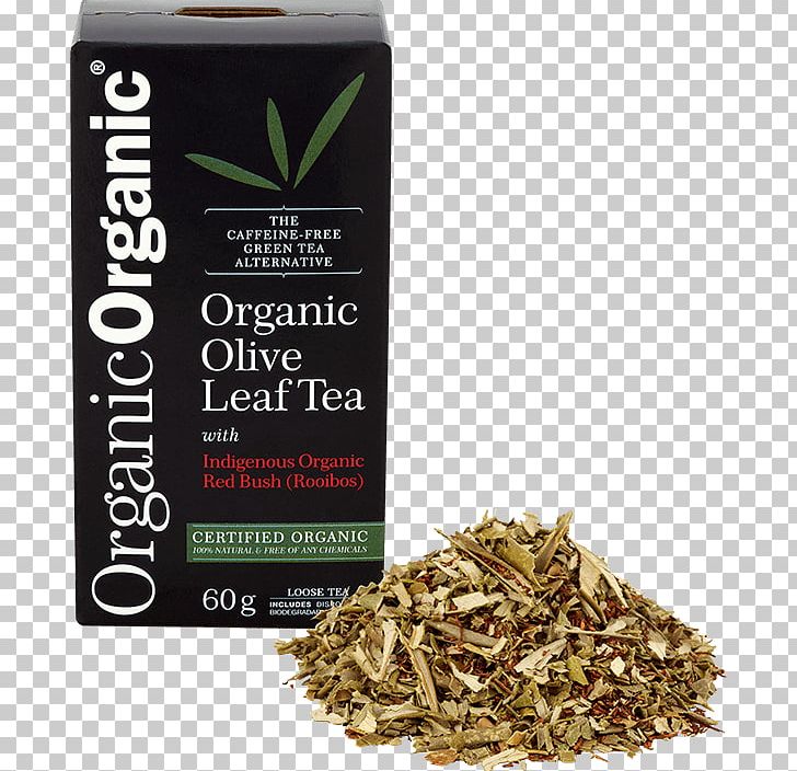 Nilgiri Tea Hōjicha Olive Leaf PNG, Clipart, Ageing, Antioxidant, Bancha, Caffeine, Dianhong Free PNG Download