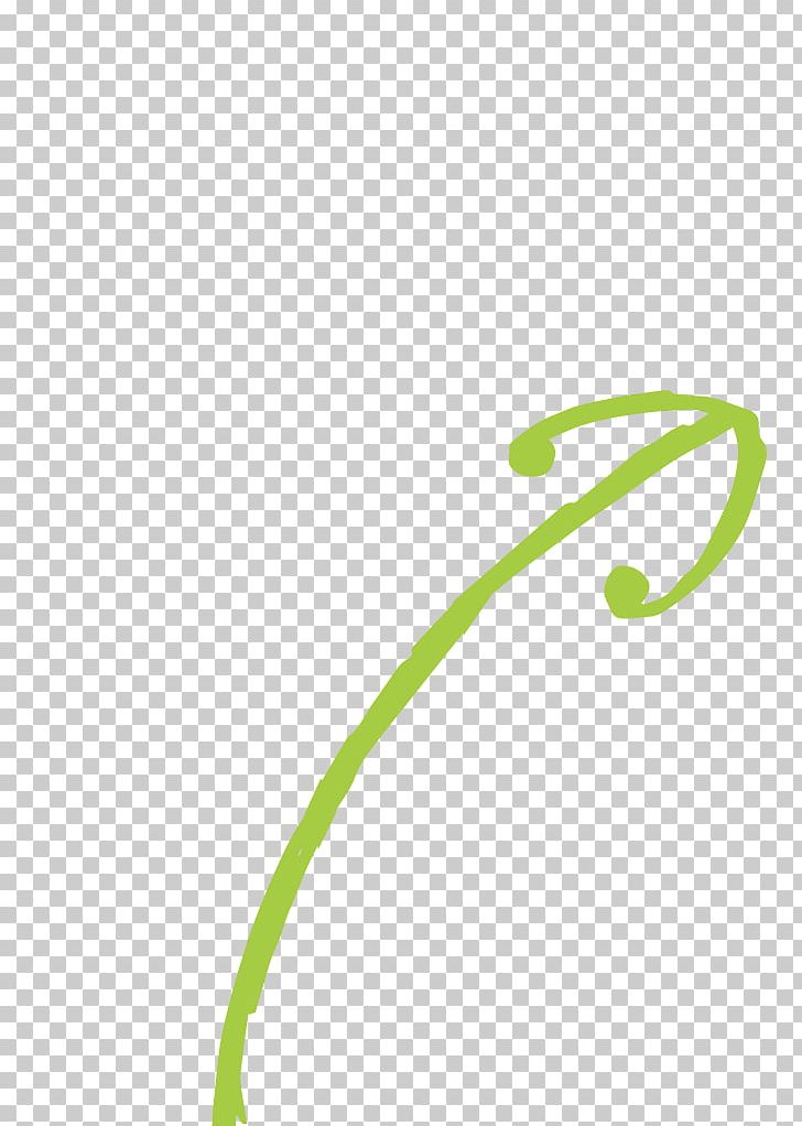 Product Design Leaf Green Graphics PNG, Clipart, Grass, Green, Leaf, Line, Plant Free PNG Download