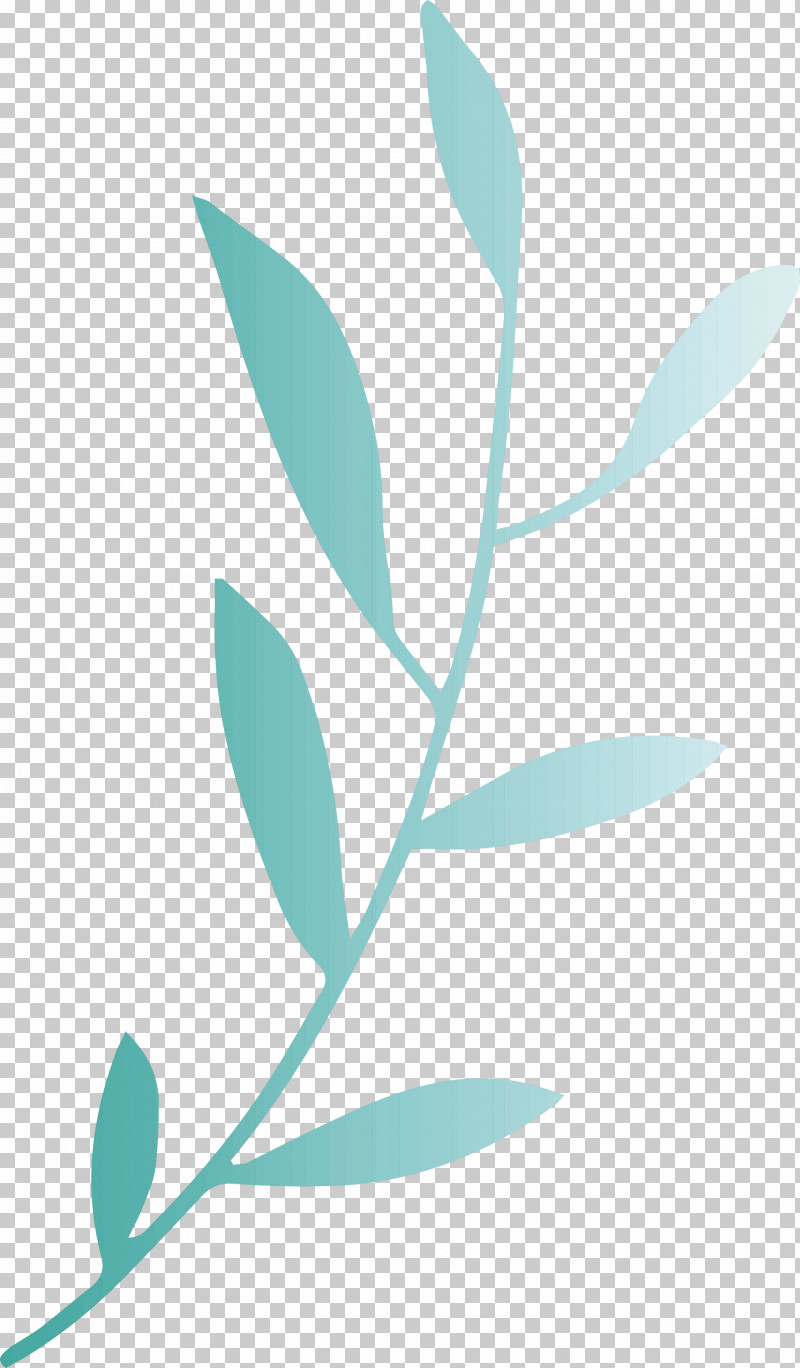 Leaf Branch PNG, Clipart, Biology, Branch, Flower, Frangipani, Herbaceous Plant Free PNG Download