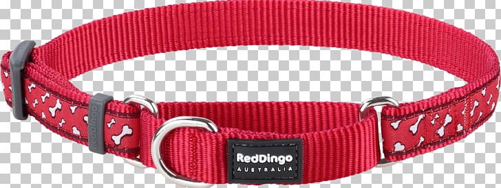 Dog Collar Dingo Clothing Accessories Ribbon PNG, Clipart, Animals, Belt, Clothing Accessories, Collar, Color Free PNG Download