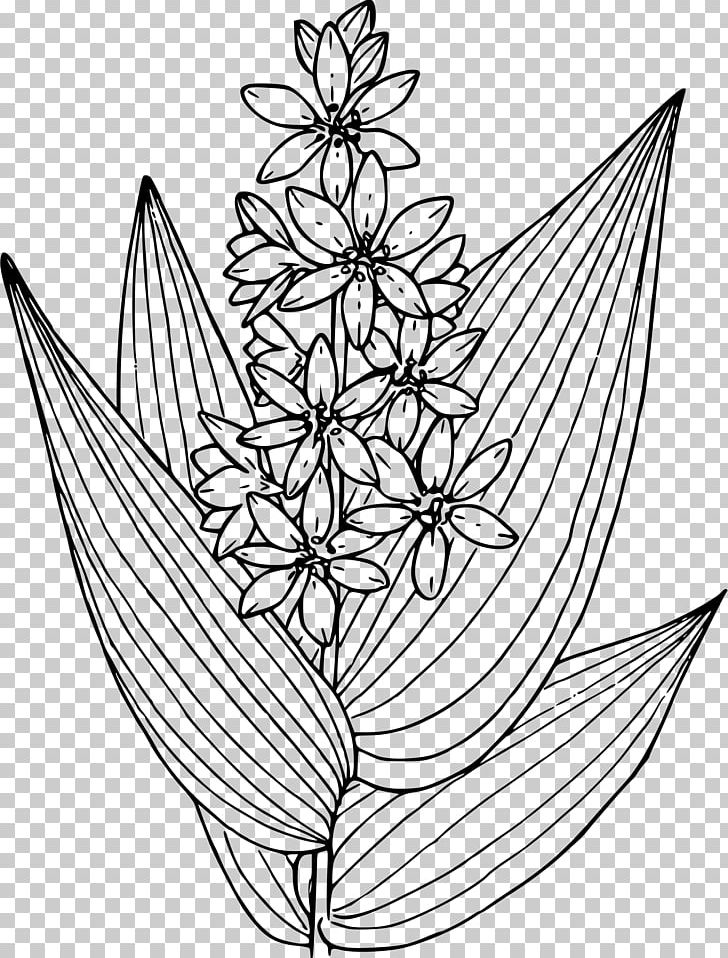 Drawing Line Art Visual Arts PNG, Clipart, Area, Art, Artwork, Black And White, Drawing Free PNG Download