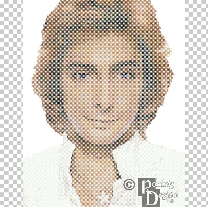 Barry Manilow Greatest Hits Album Phonograph Record LP Record PNG, Clipart, Album, Album Cover, Arista Records, Barry Manilow, Brown Hair Free PNG Download