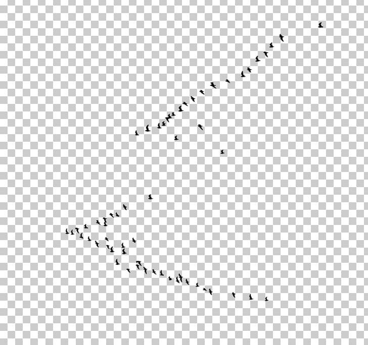 Black And White Line Point Angle PNG, Clipart, Angle, Animals, Area, Birds, Black Free PNG Download