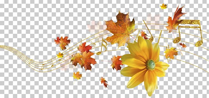 Flower Floral Design Still Life Photography PNG, Clipart, Autumn, Blume, Branch, Computer Wallpaper, Desktop Wallpaper Free PNG Download