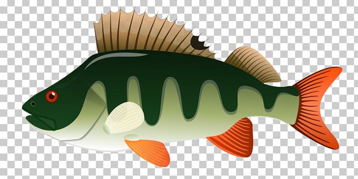 Northern Pike Yellow Perch PNG, Clipart, Animal Figure, Bony Fish, Common Cliparts, Computer Icons, Fauna Free PNG Download