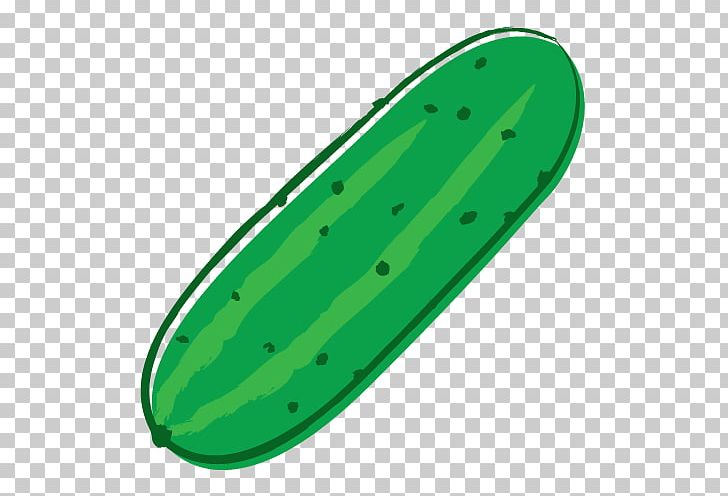 Cucumber Melon Fruit PNG, Clipart, Cucumber, Cucumber Gourd And Melon Family, Cucumis, Fruit, Gourd Order Free PNG Download