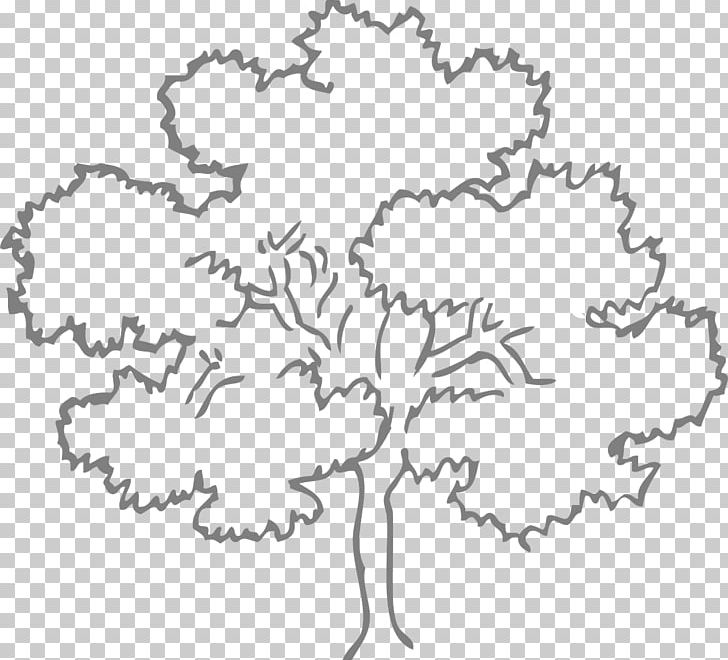 Family Tree Oak PNG, Clipart, Area, Black And White, Branch, Drawing, Eucalyptus Leaves Free PNG Download