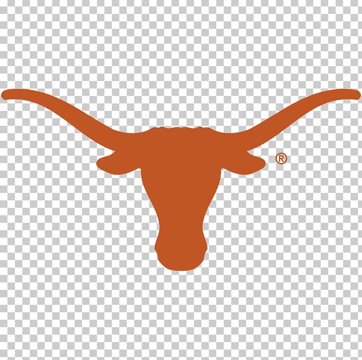 Texas Longhorns Football Texas Longhorns Women's Basketball Texas Longhorns Men's Basketball Texas Longhorns Baseball PNG, Clipart, Baseball, Basketball, Cow Goat Family, Goats, Orange Free PNG Download