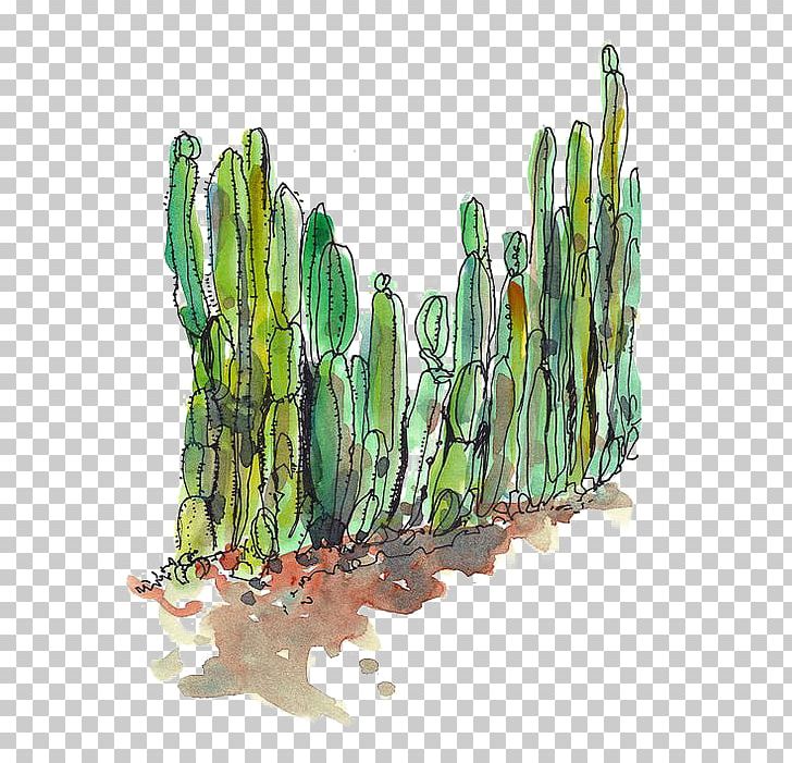 Cactaceae Desert Succulent Plant Cactus Fence PNG, Clipart, Cactus, Cactus Cartoon, Cactus Flower, Cactus Vector, Cactus Watercolor Free PNG Download